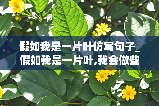 假如我是一片叶仿写句子_假如我是一片叶,我会做些什么仿写