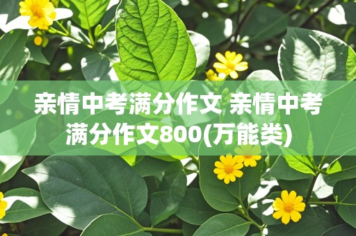 亲情中考满分作文 亲情中考满分作文800(万能类)