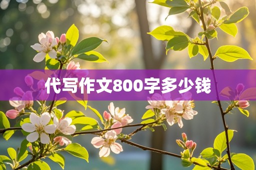 代写作文800字多少钱