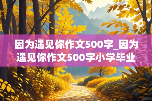 因为遇见你作文500字_因为遇见你作文500字小学毕业