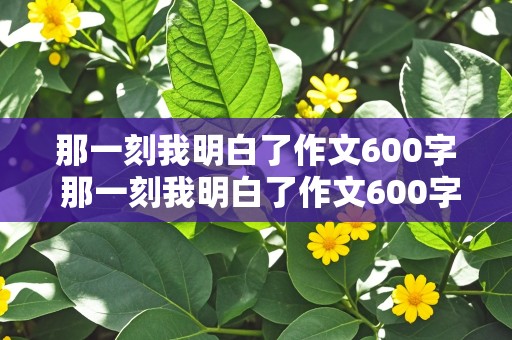 那一刻我明白了作文600字 那一刻我明白了作文600字初一