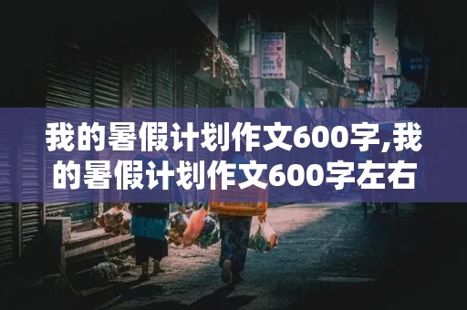 我的暑假计划作文600字,我的暑假计划作文600字左右