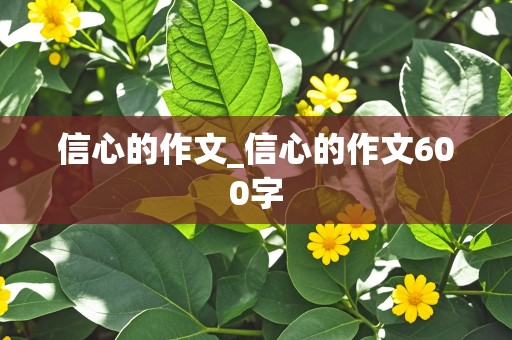 信心的作文_信心的作文600字