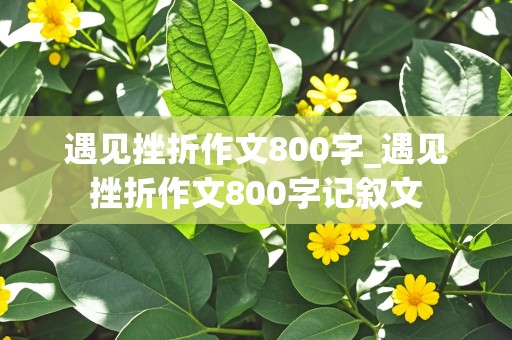 遇见挫折作文800字_遇见挫折作文800字记叙文