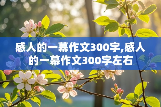 感人的一幕作文300字,感人的一幕作文300字左右