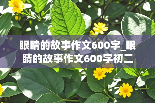 眼睛的故事作文600字_眼睛的故事作文600字初二