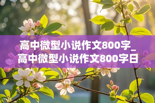 高中微型小说作文800字_高中微型小说作文800字日常