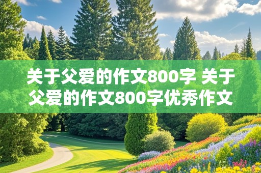 关于父爱的作文800字 关于父爱的作文800字优秀作文