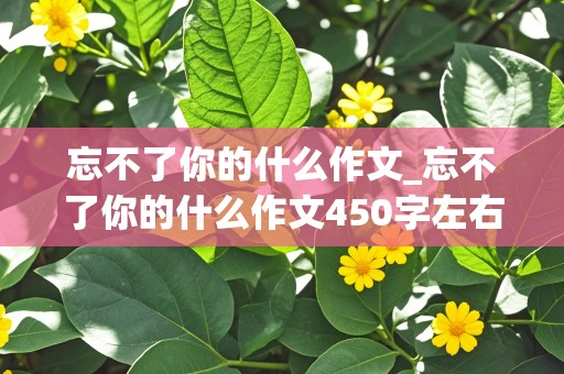 忘不了你的什么作文_忘不了你的什么作文450字左右