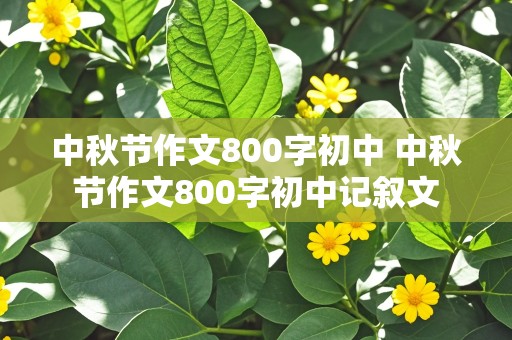 中秋节作文800字初中 中秋节作文800字初中记叙文