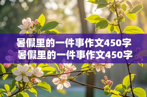 暑假里的一件事作文450字 暑假里的一件事作文450字左右