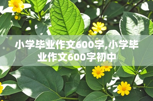 小学毕业作文600字,小学毕业作文600字初中