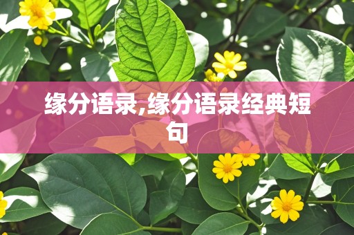 缘分语录,缘分语录经典短句