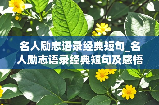 名人励志语录经典短句_名人励志语录经典短句及感悟