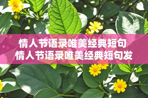 情人节语录唯美经典短句 情人节语录唯美经典短句发朋友圈