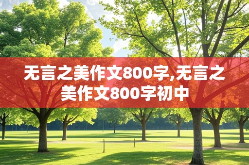 无言之美作文800字,无言之美作文800字初中