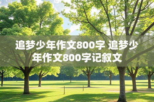 追梦少年作文800字 追梦少年作文800字记叙文