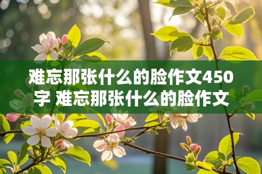 难忘那张什么的脸作文450字 难忘那张什么的脸作文450字左右