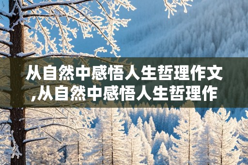 从自然中感悟人生哲理作文,从自然中感悟人生哲理作文800字