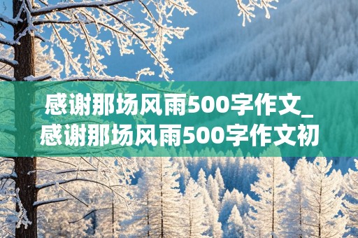 感谢那场风雨500字作文_感谢那场风雨500字作文初一