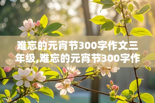 难忘的元宵节300字作文三年级,难忘的元宵节300字作文三年级下册