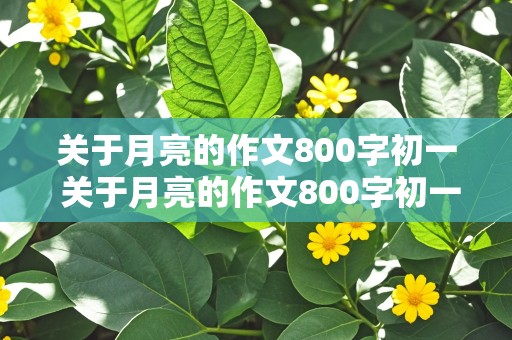 关于月亮的作文800字初一 关于月亮的作文800字初一托物言志